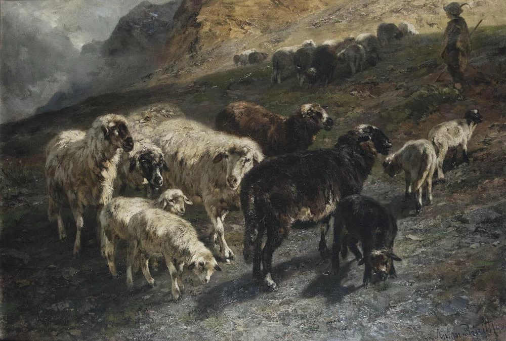 Pastorello con mandria in alta montagna